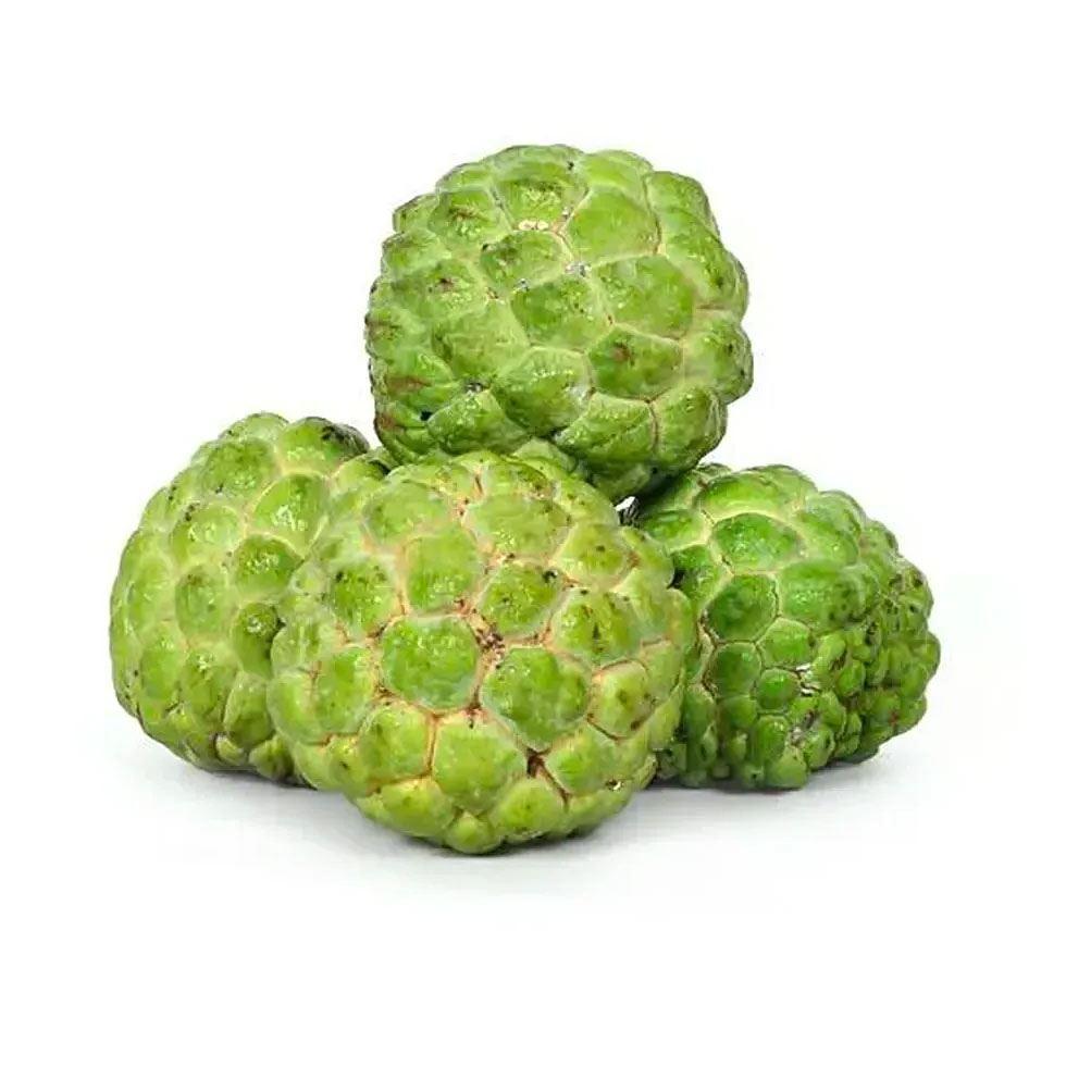 Fresh Custard Apple Image