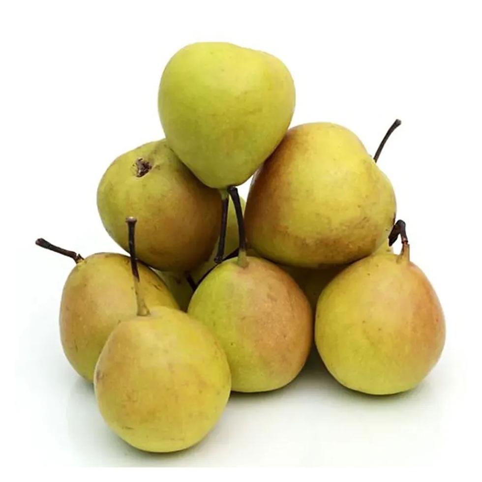 Fresh Pears Fruit Image