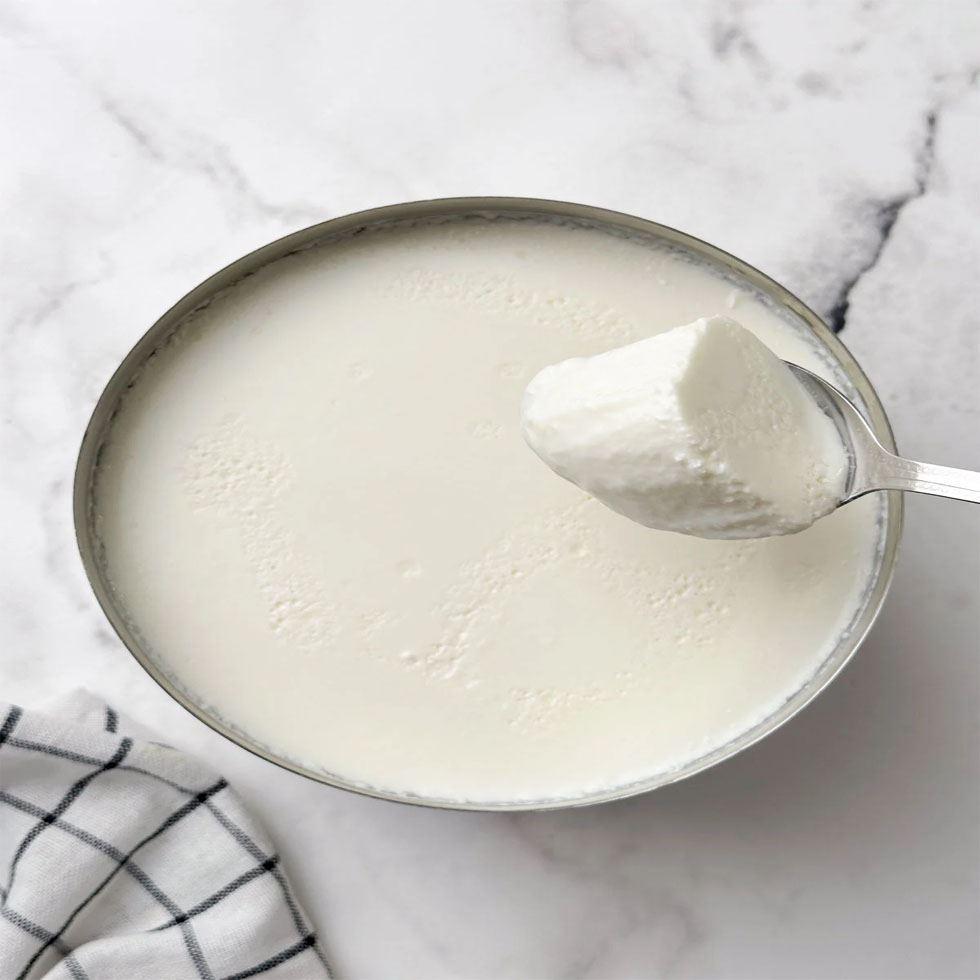 Fresh Thick Curd Image