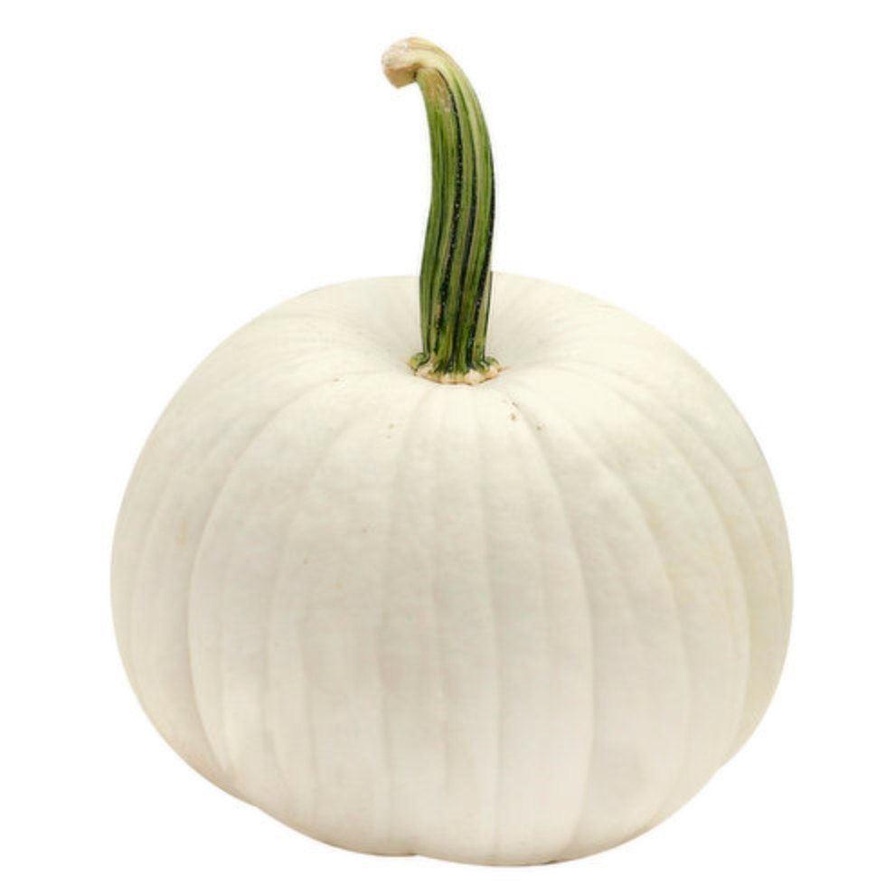 Fresh White Pumpkin Image
