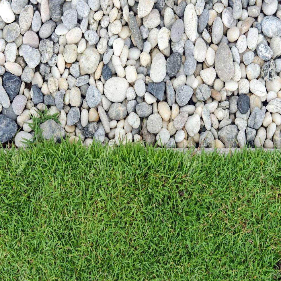 Grass Concrete Paving Image