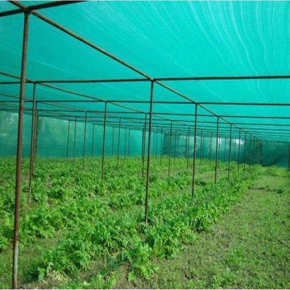Green Agriculture Net Image