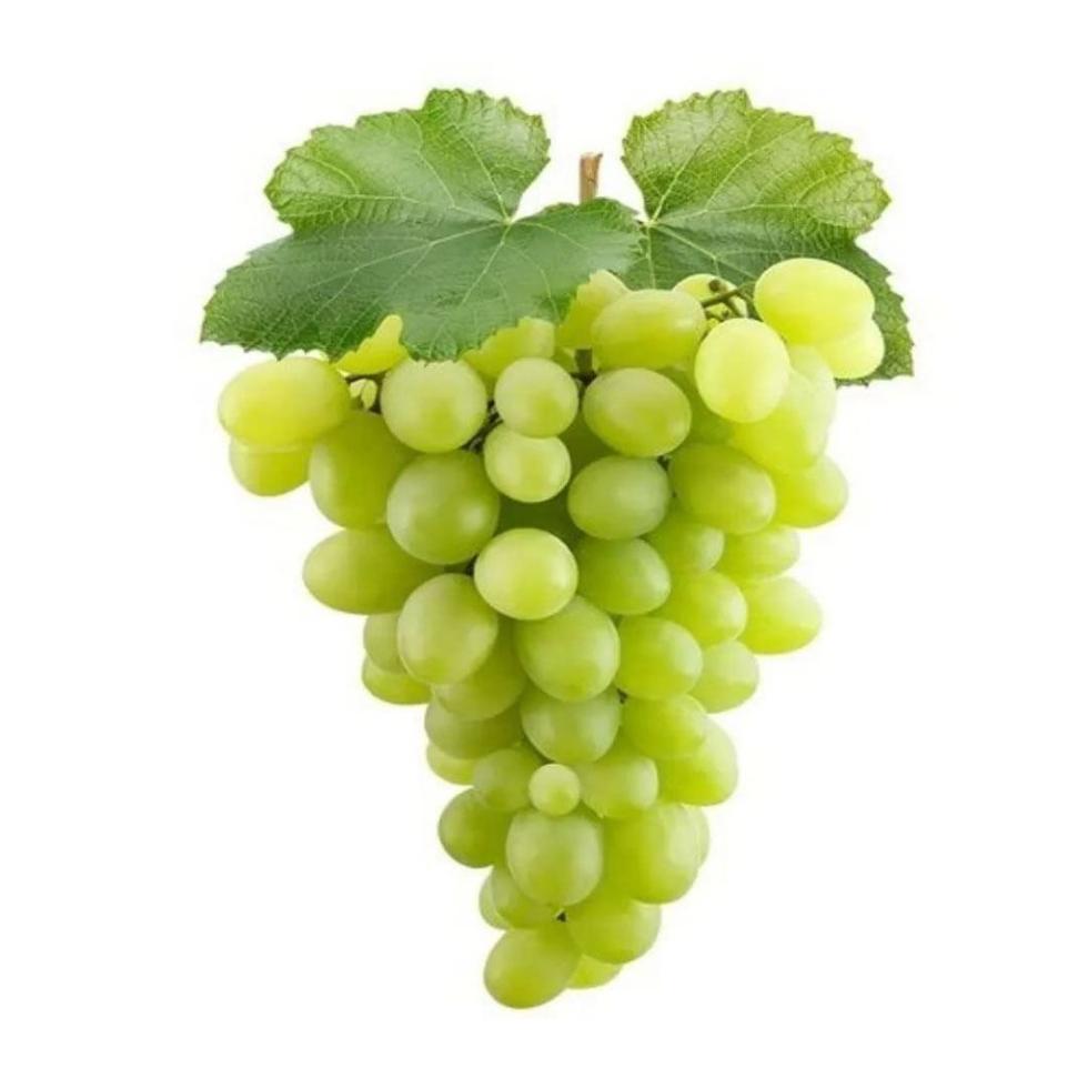 Green Grapes Fruit Image