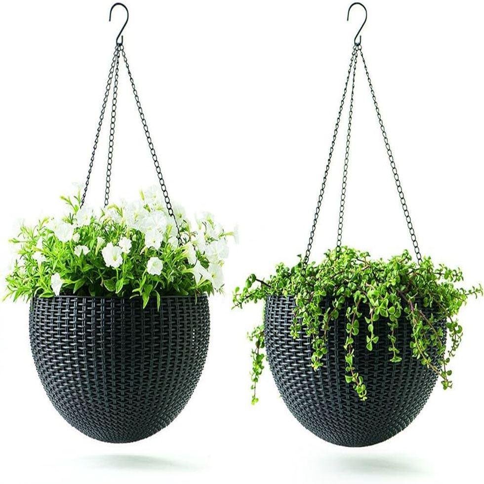 Hanging Planters Image