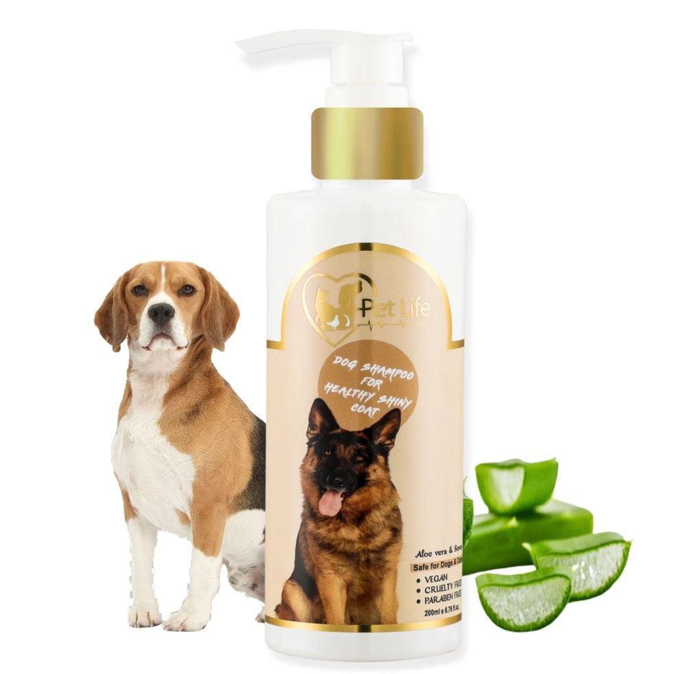 Healthy Coat Dog Shampoo Image