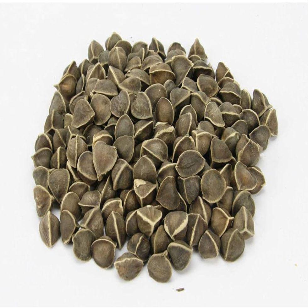 Herbal Moringa Seed Image