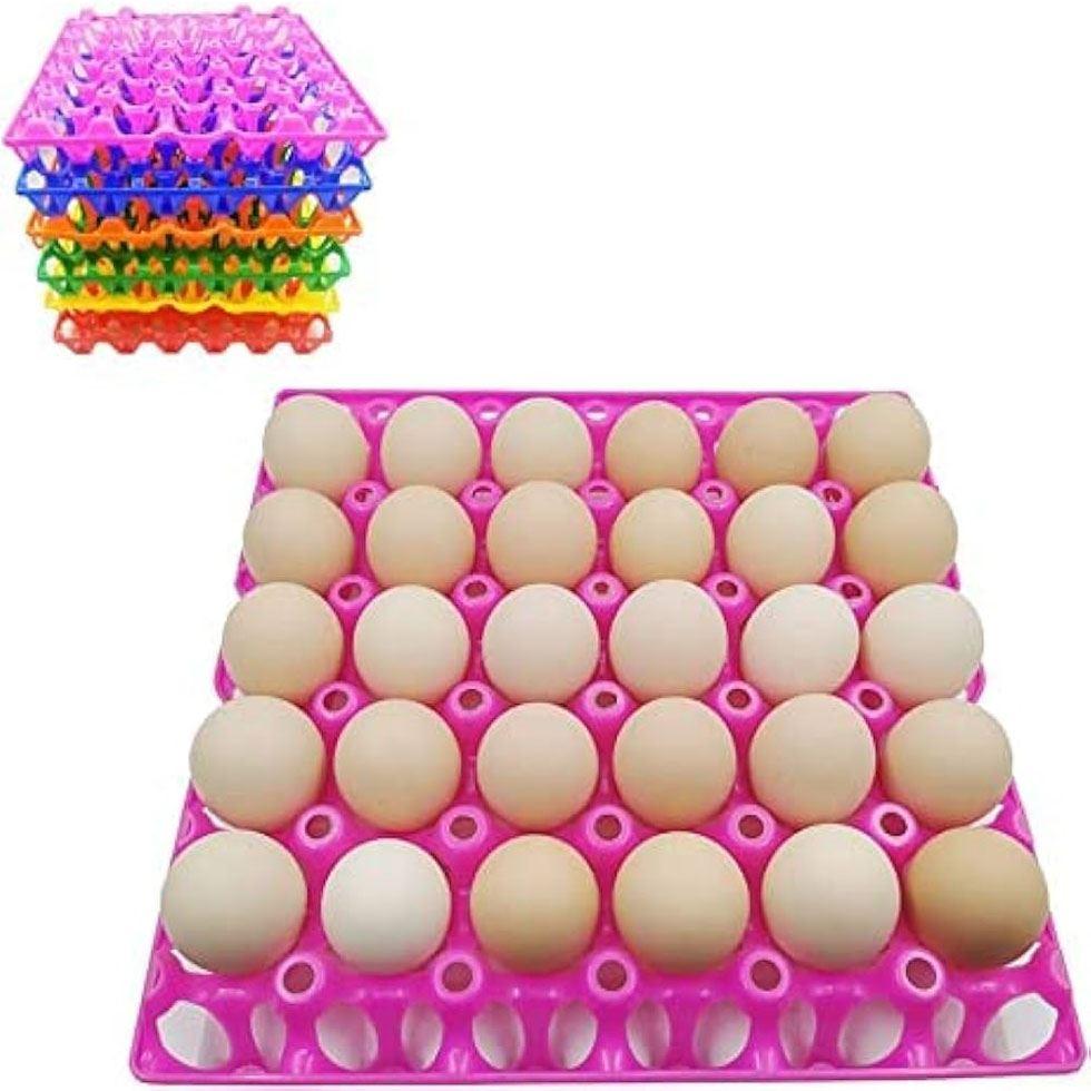 Holes Eggs Trays Image