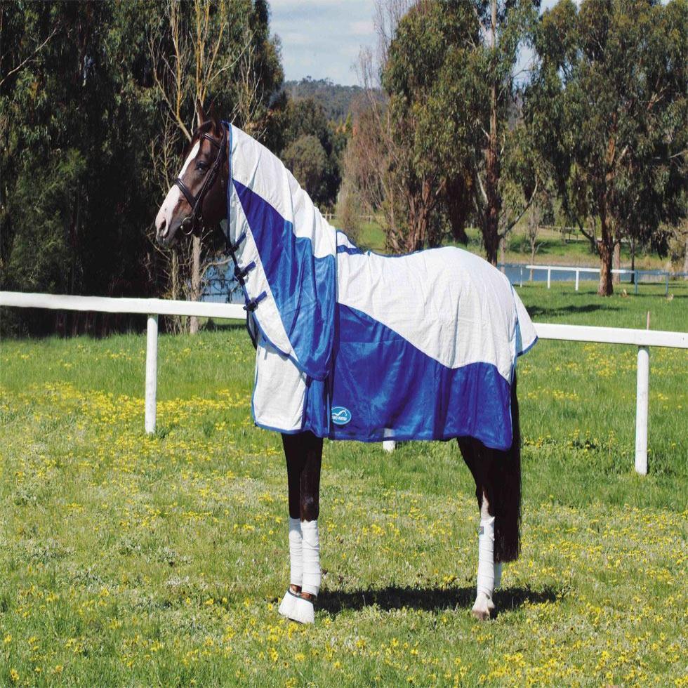 Horse Summer Rugs Image