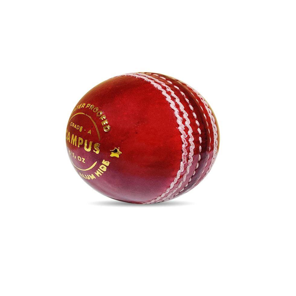 Leather Cricket Ball Image