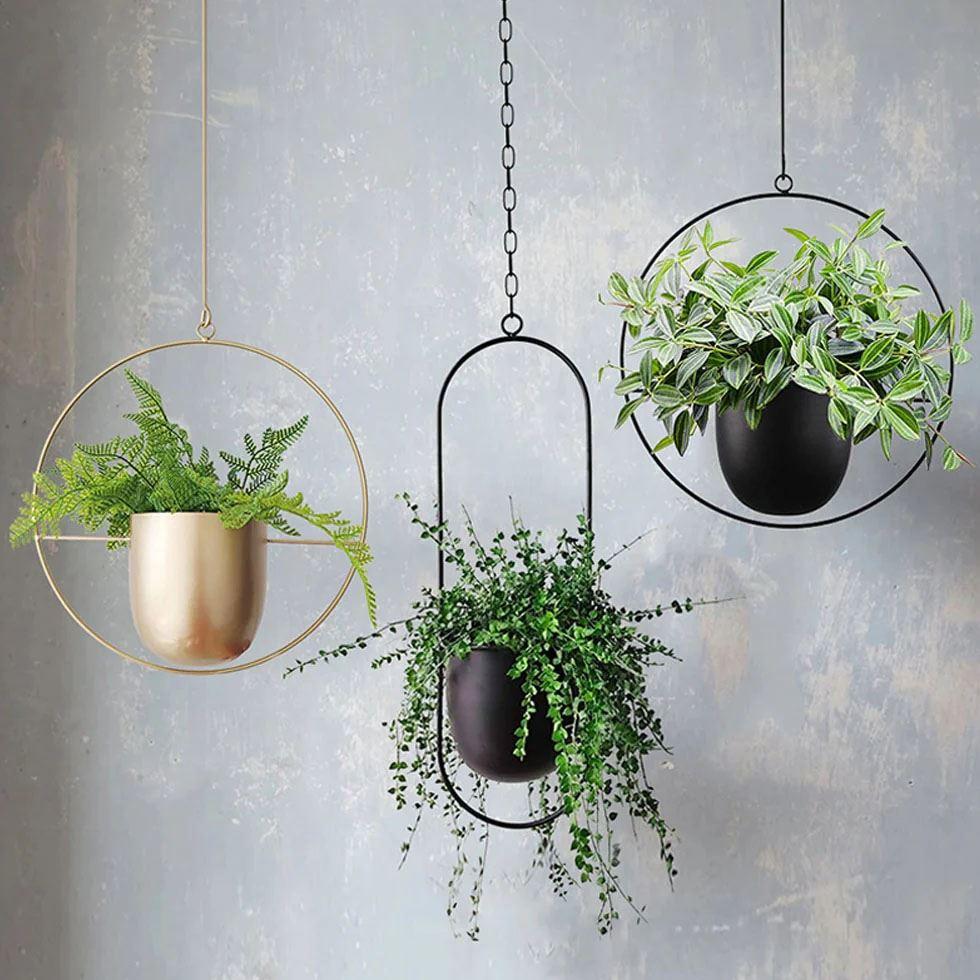 Metal Hanging Pot Image