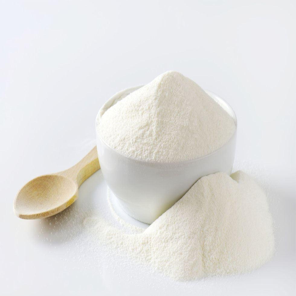 Milk Skim Powder  Image