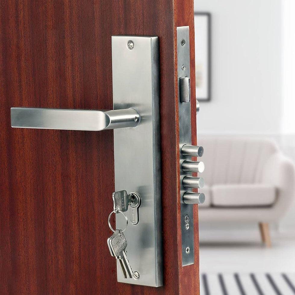 Mortise Lock Door  Image