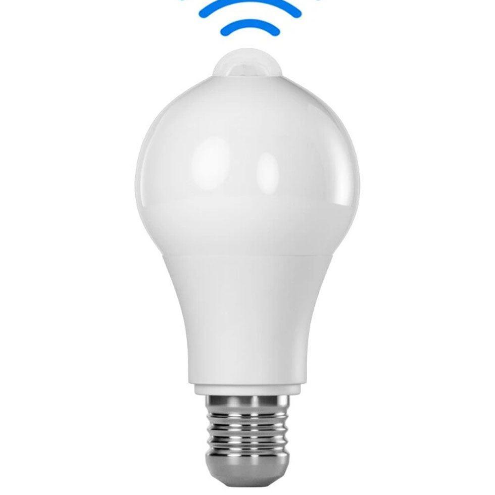 Motion Sensor Bulb Image