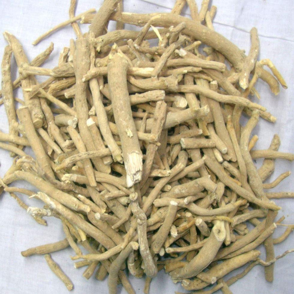 Natural Ashwagandha Roots Image