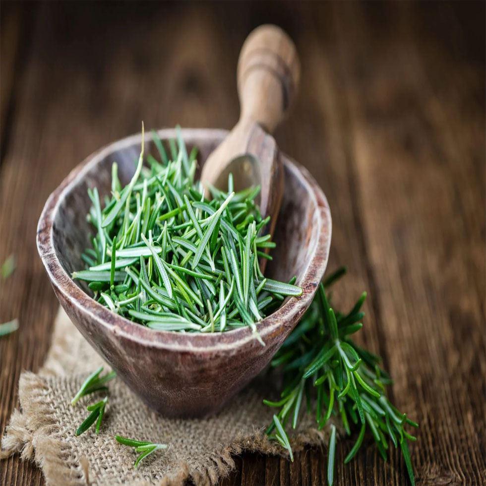 Natural Rosemary Herb Image