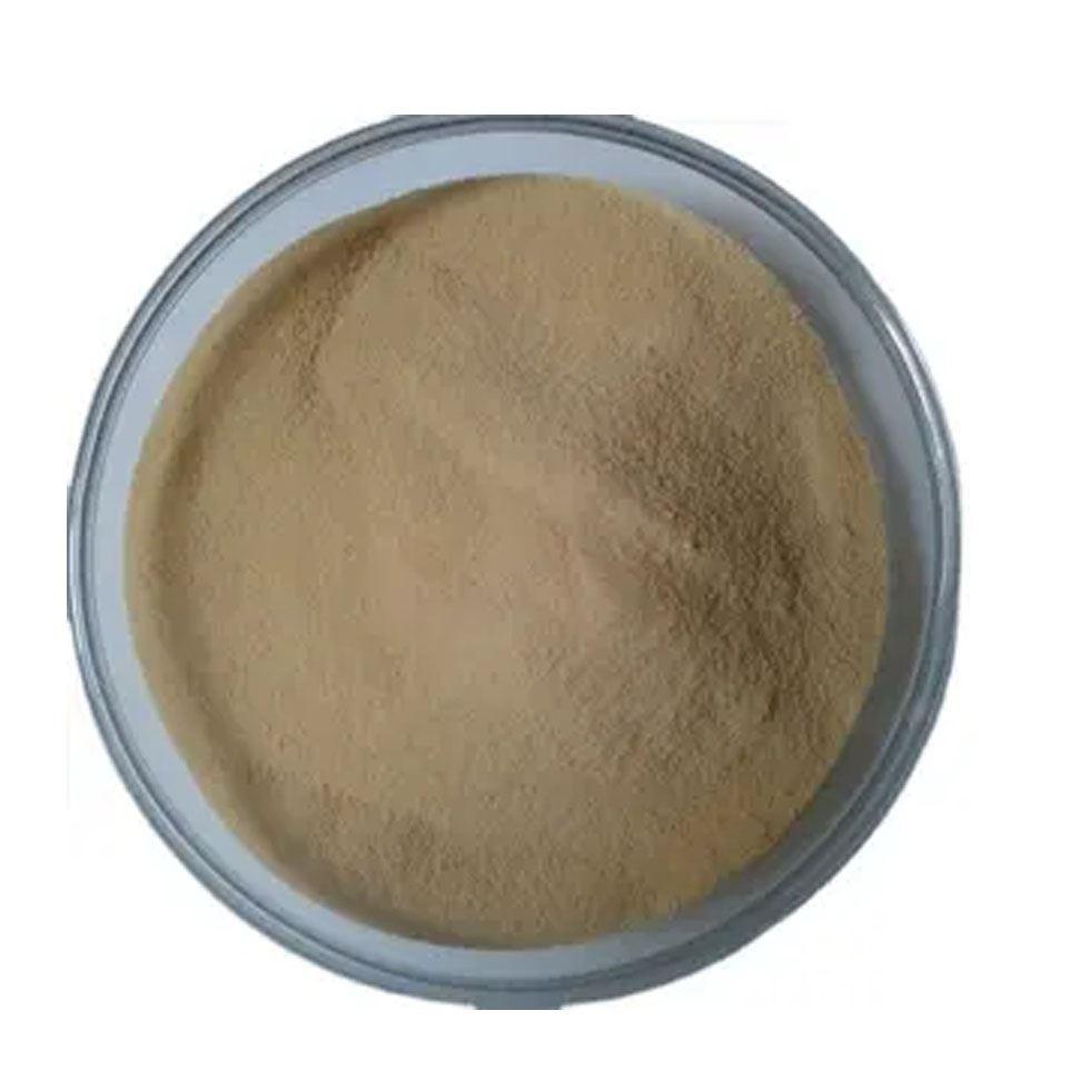 Natural Shellac Powder Image