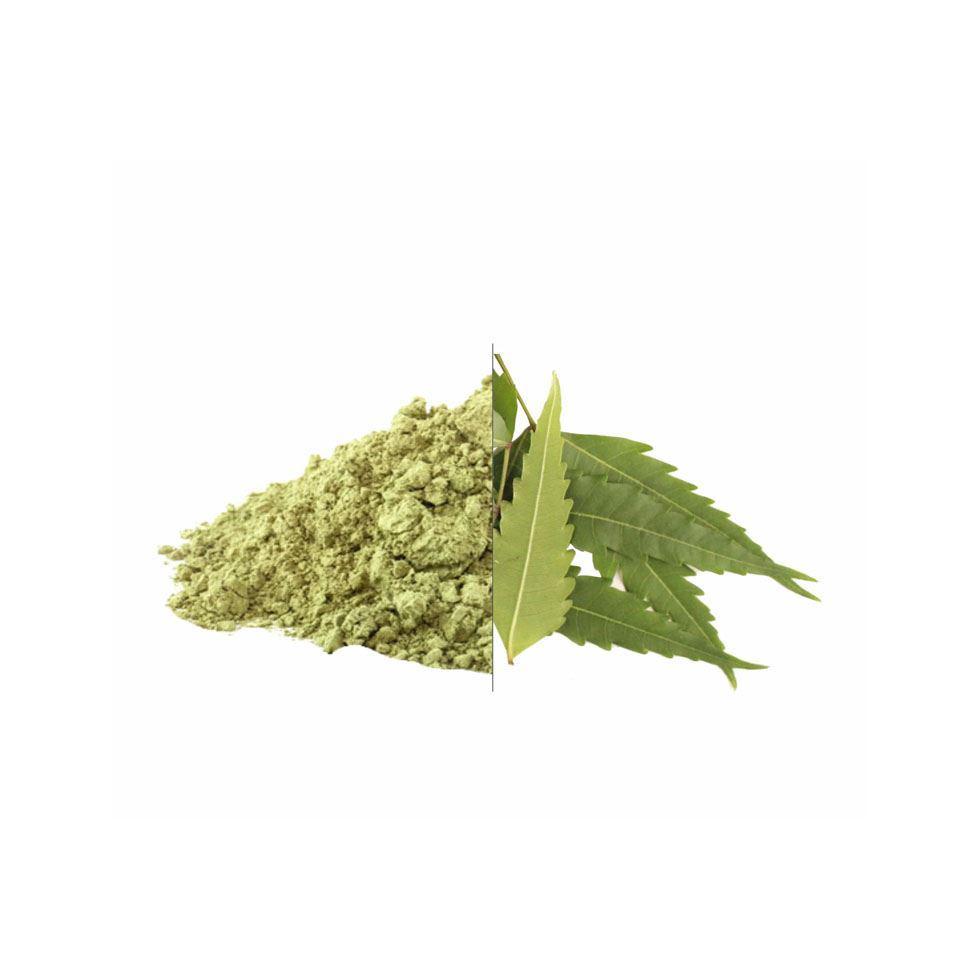 Neem Leaf Powder Image