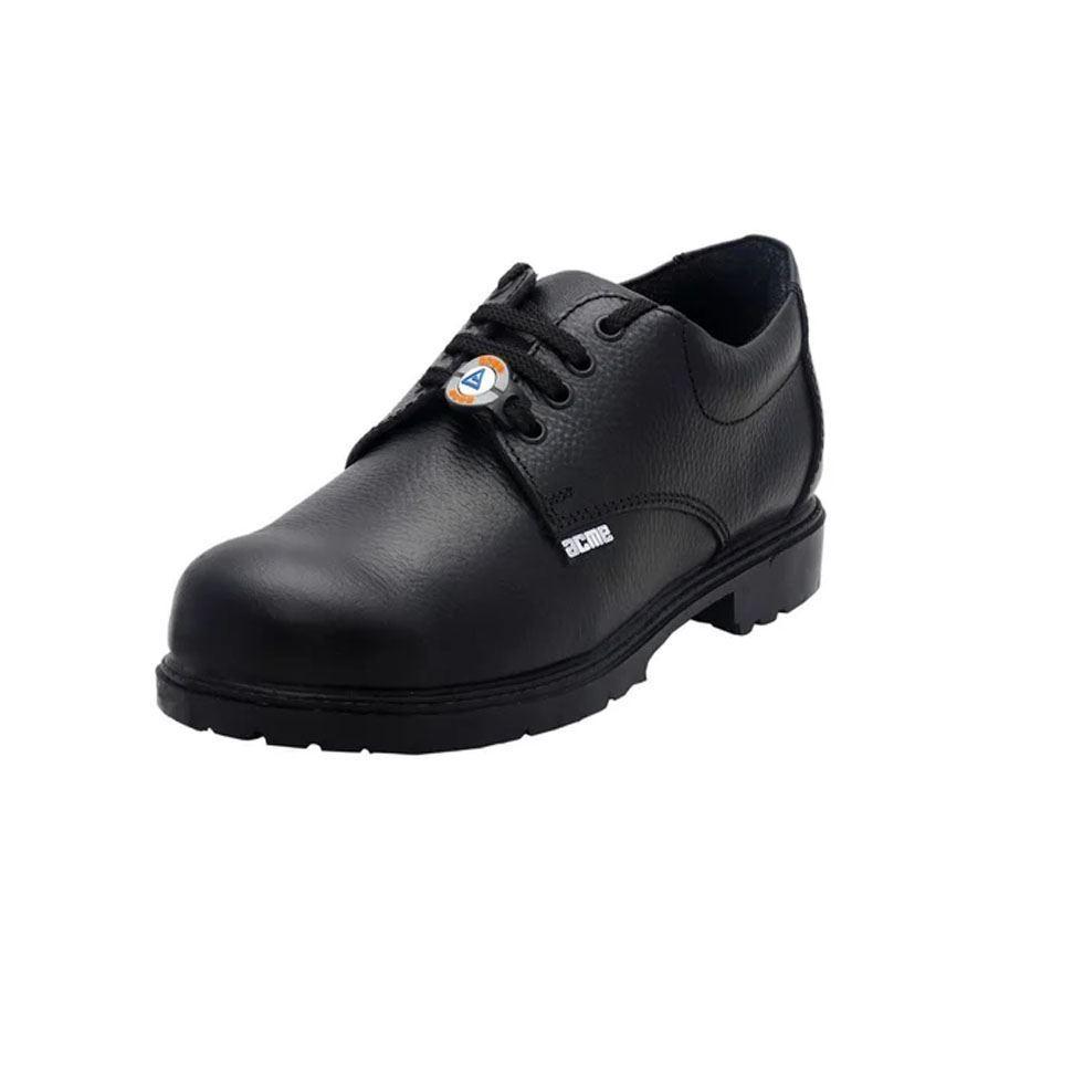 Nitrile Rubber Safety Shoe Image