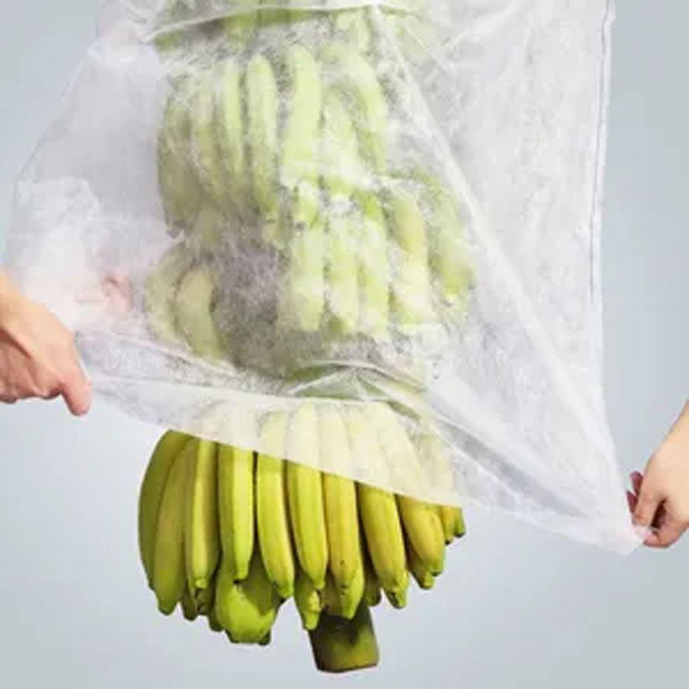  Non-Woven Fabric Banana Cover Image