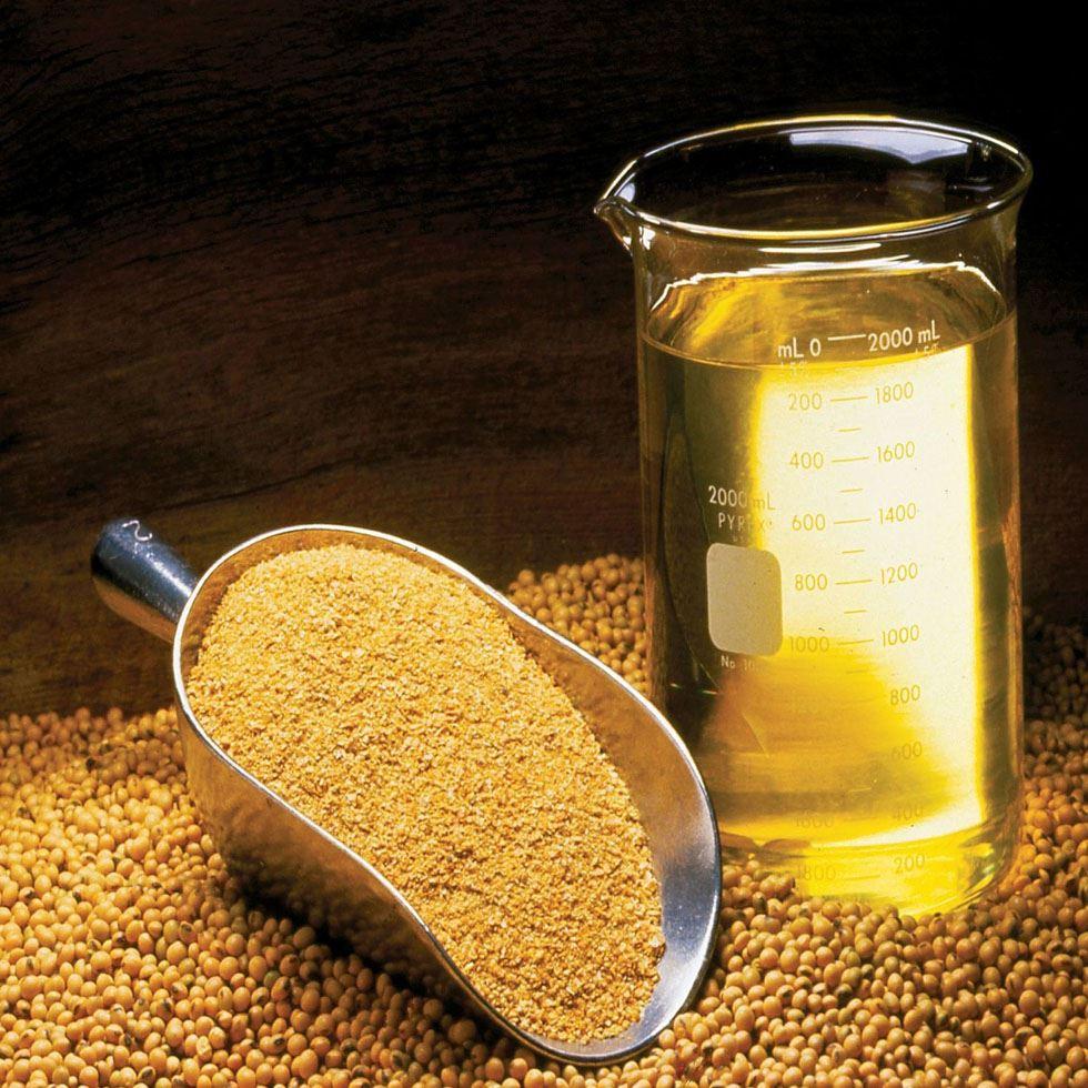 Refined Soyaben Oil Image