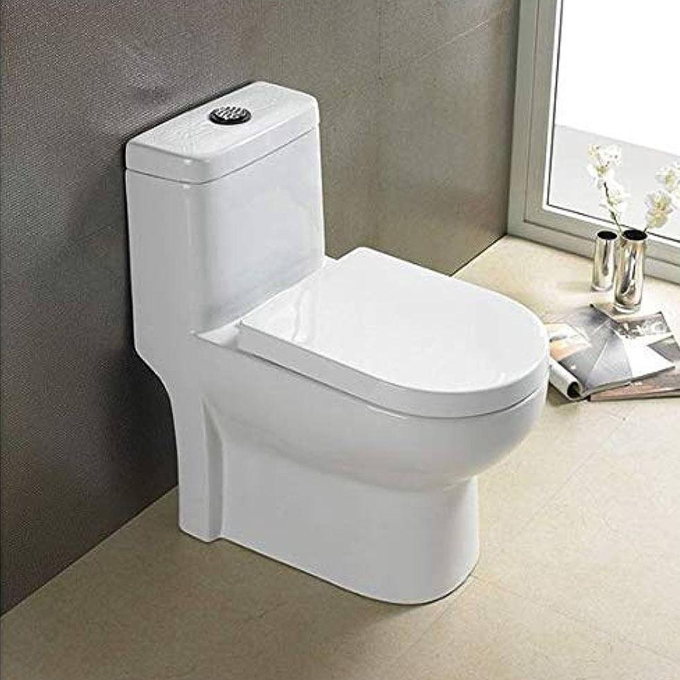 One Piece Water Closet Image