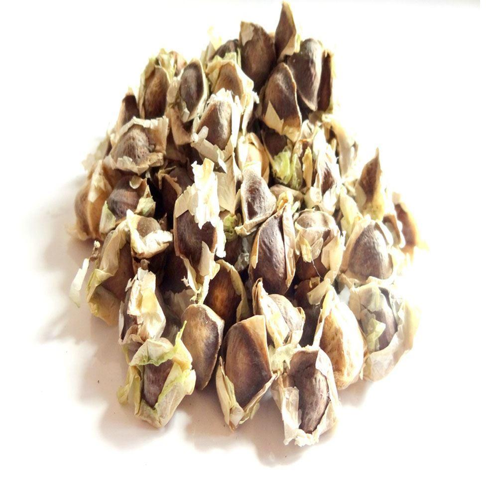 Organic Moringa Seed Image