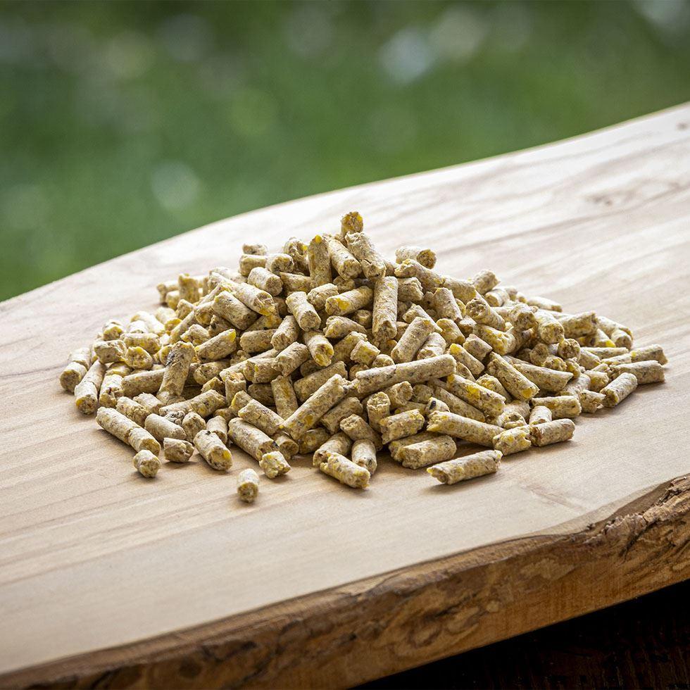 Organic Pig Feed Image