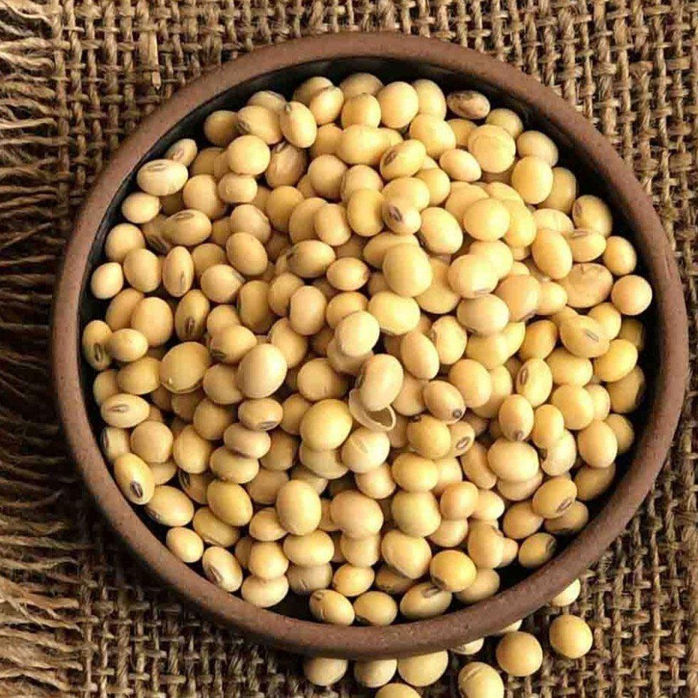 Organic Whole Soy Bean  Image