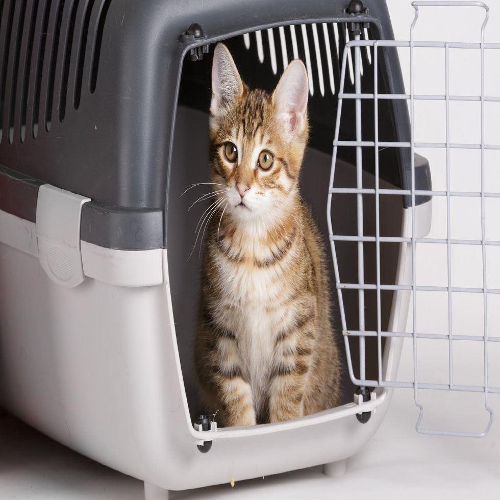 Petmate Kitten Cage Image