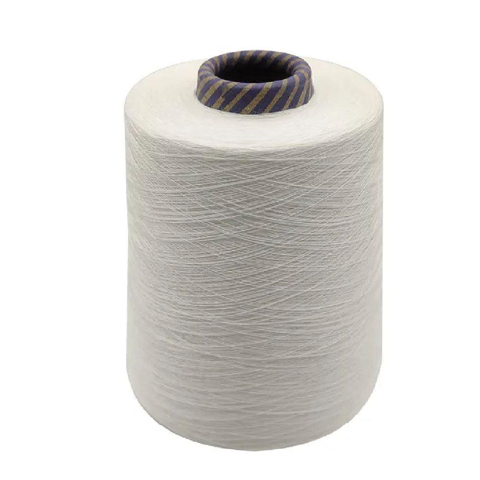 Plain Cotton Yarn Image