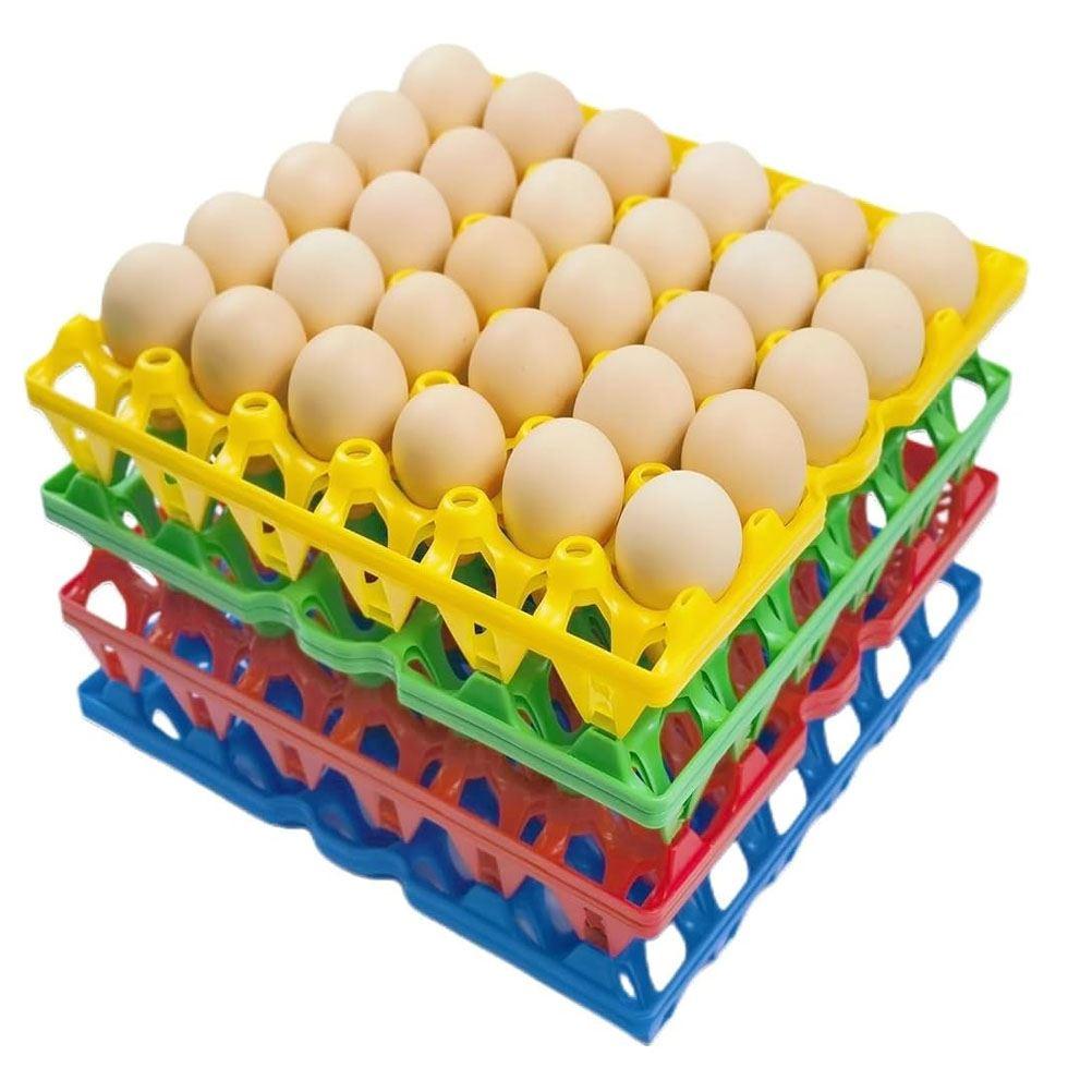 Plastic Layer Egg Tray Image