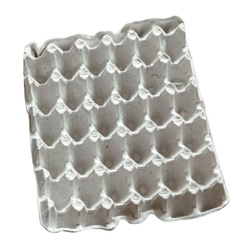 Plastic & Paper Pulp Egg Trays Image