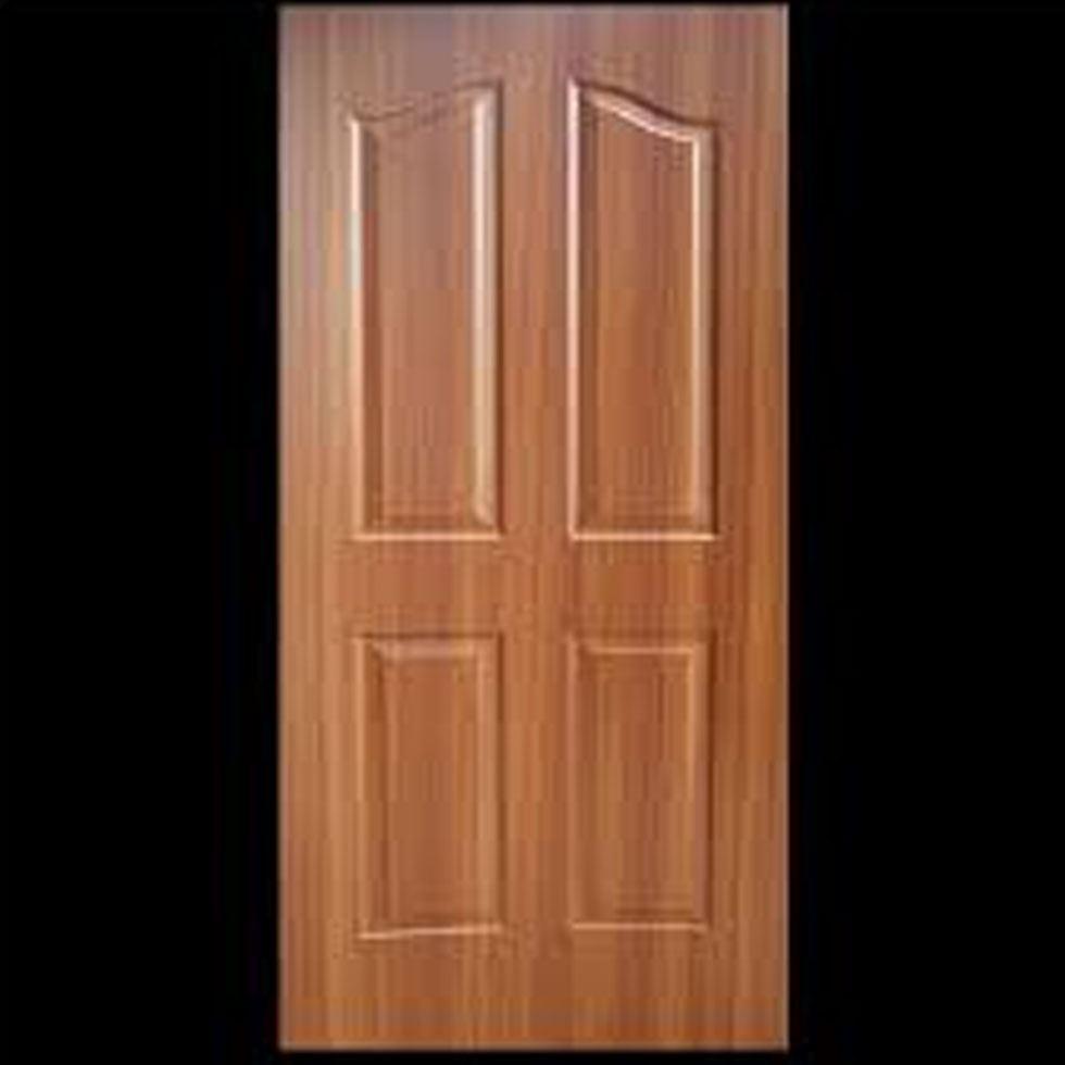 Polished Skin Doors Image