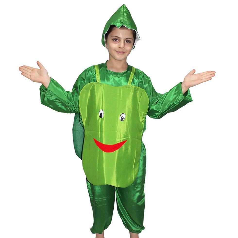 Polyester Fancy Dress Costume Image