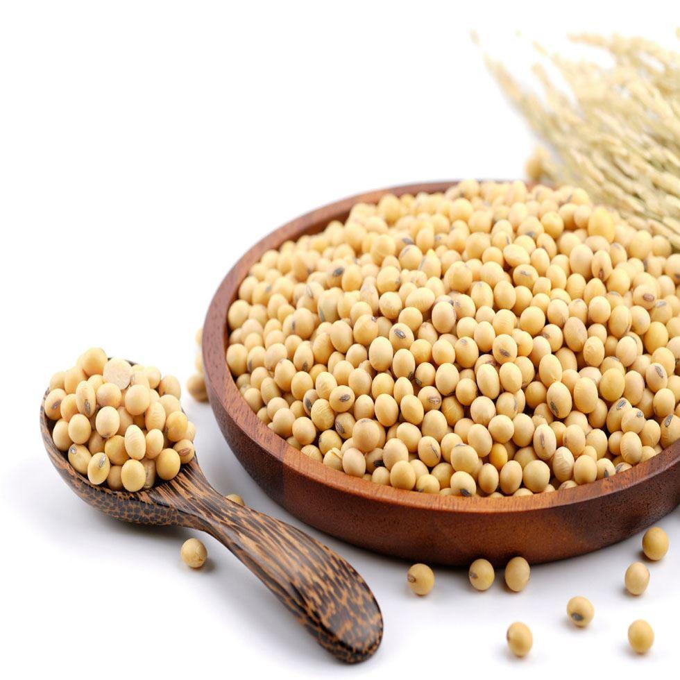 Protein Soyabean Meal Image