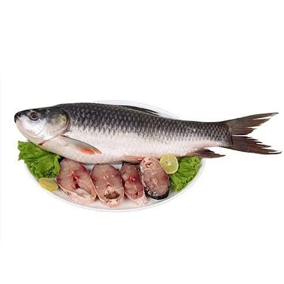 Raw Rohu Fish Image