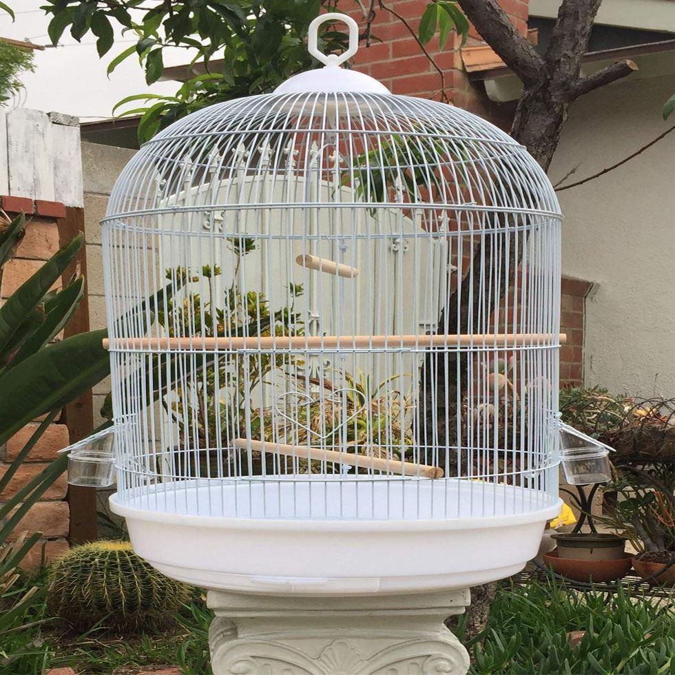 Round Bird Cages Image