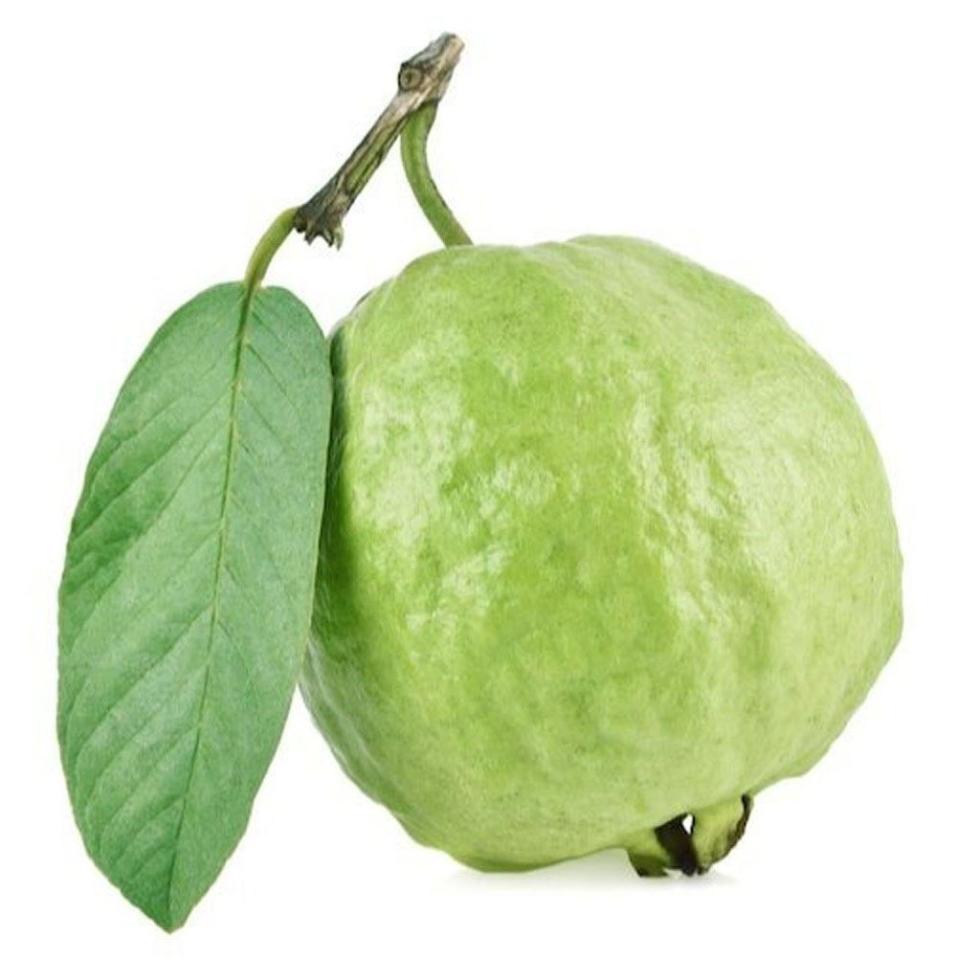 Round Guava Fruit Image