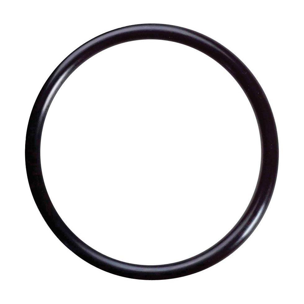 Rubber O Ring Image