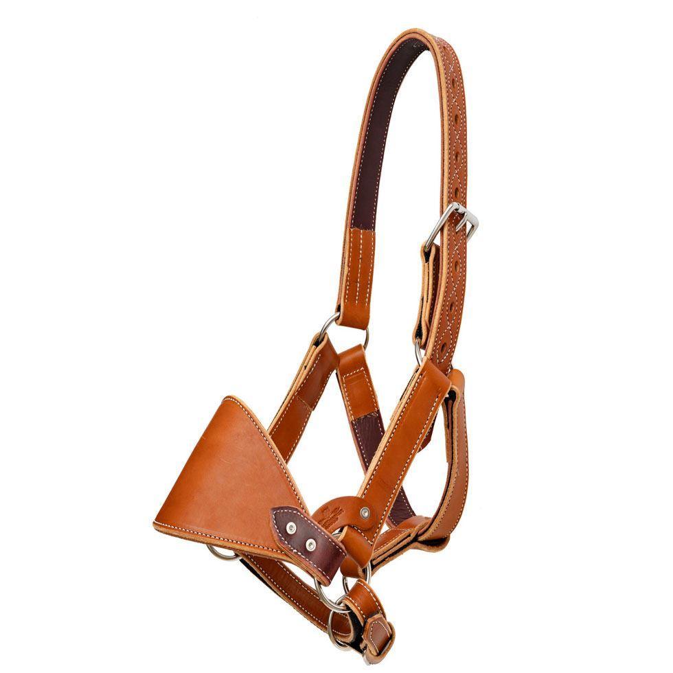 Saddle Horse Halters Image