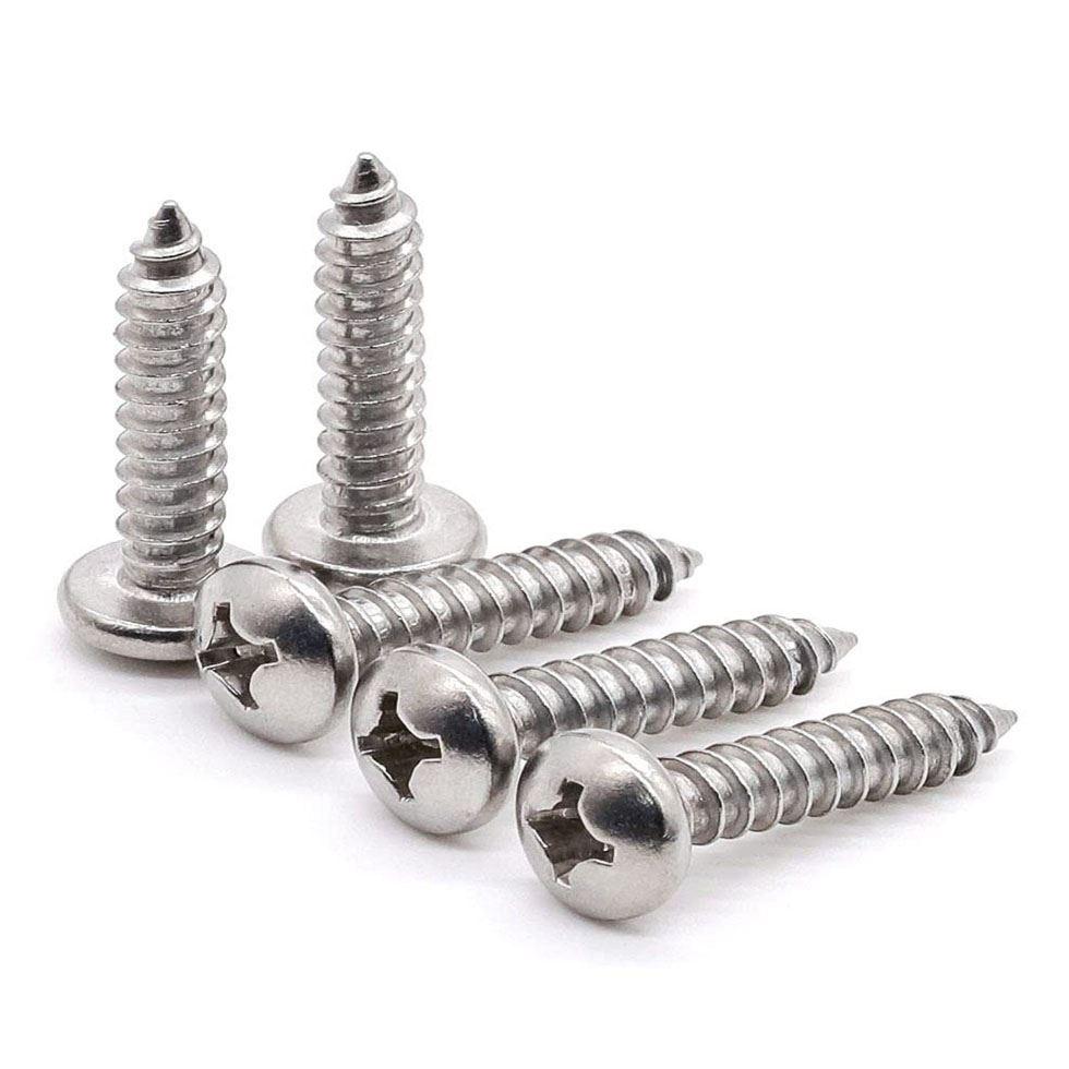 Self Tapping Metal, Wood Screw, SS Steel Tapping Screw Image