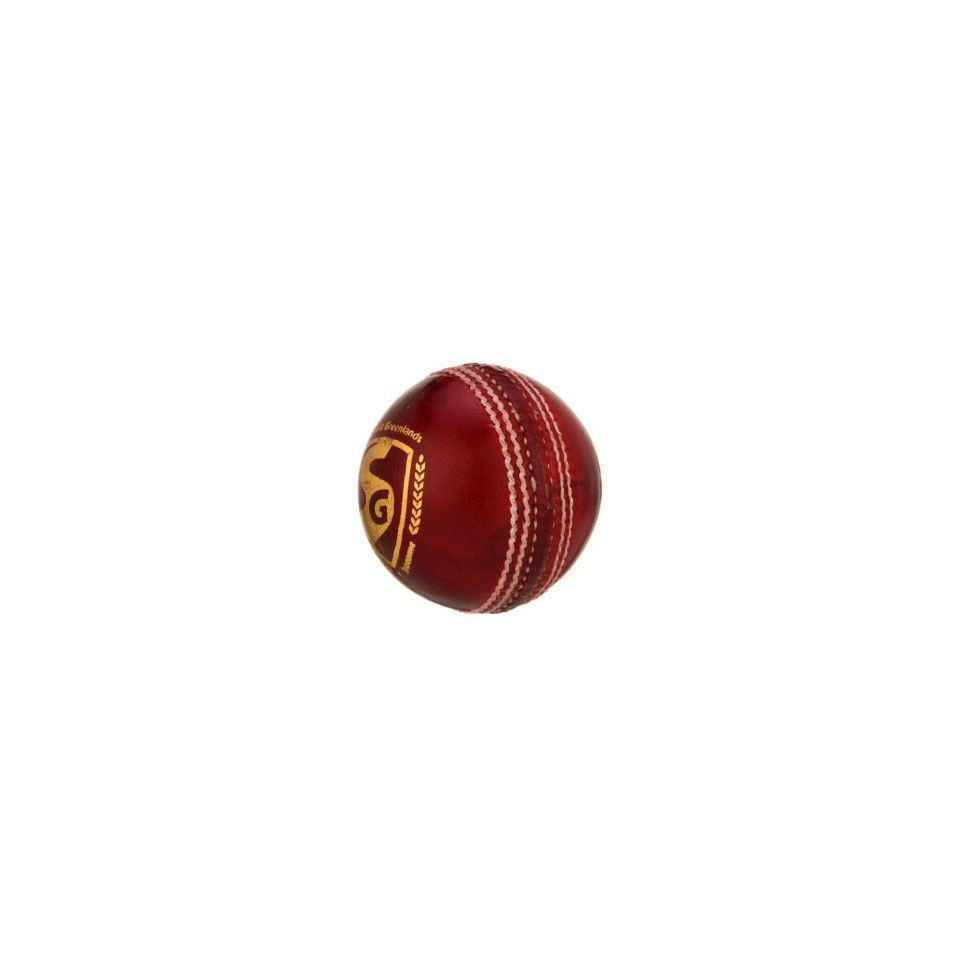 Sport Leather Cricket Ball Image