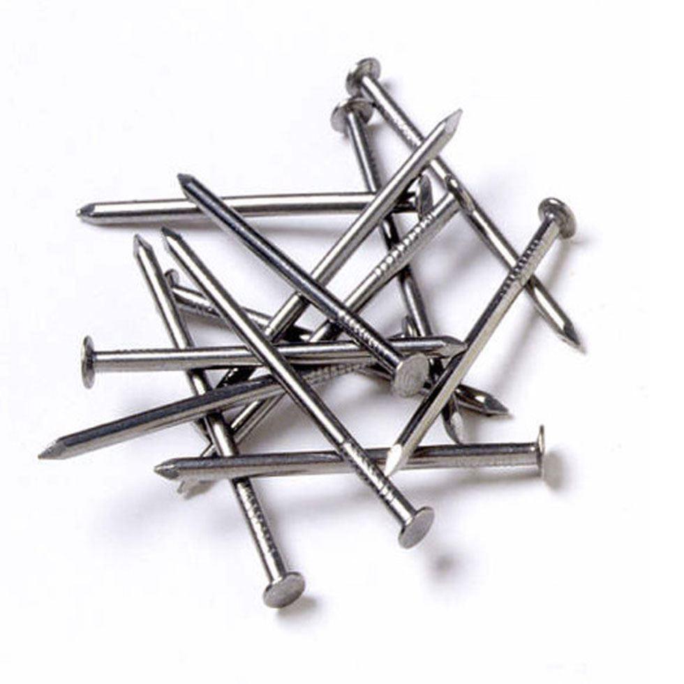 Ss Wire Nails Image