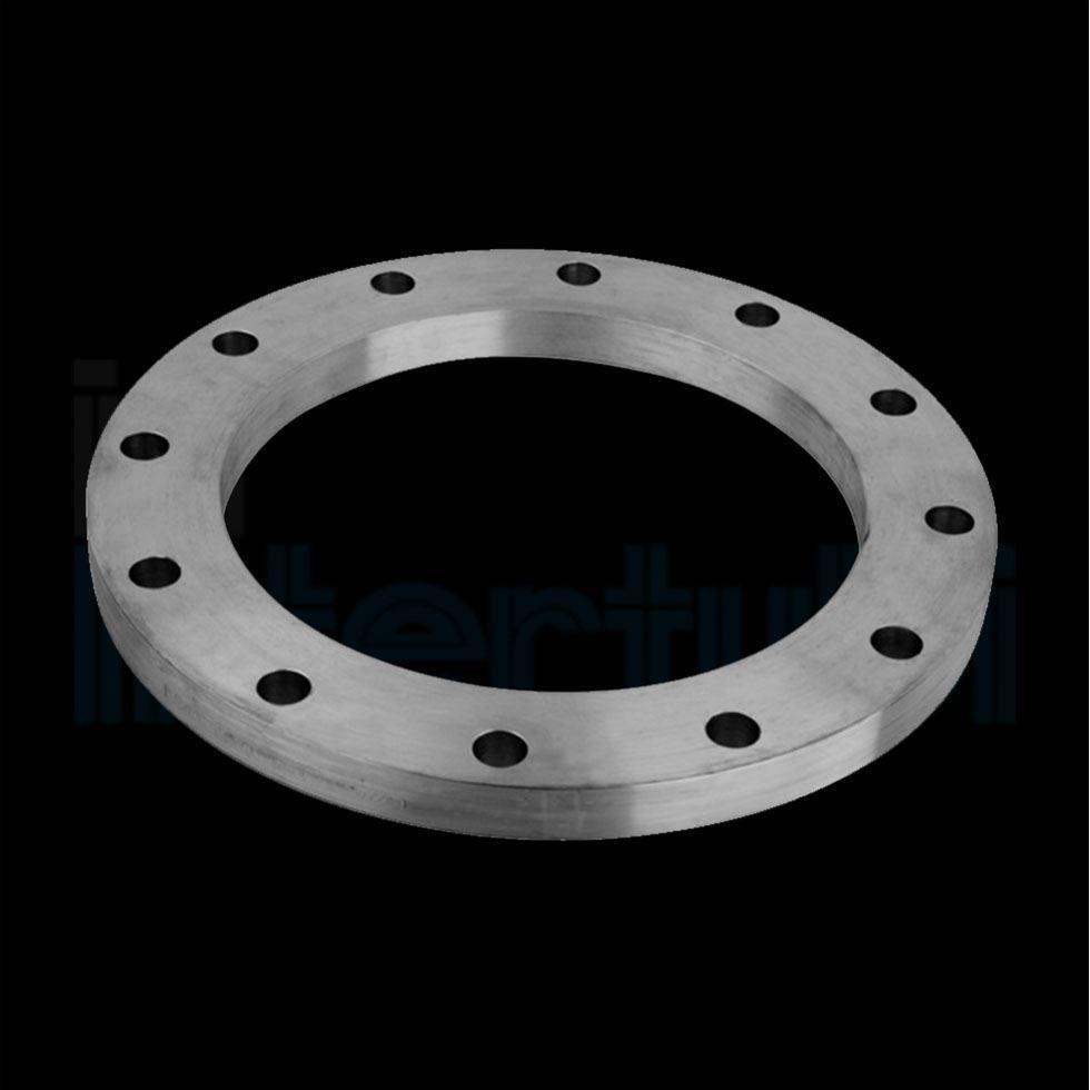 Stainless Steel Plate Flanges Image