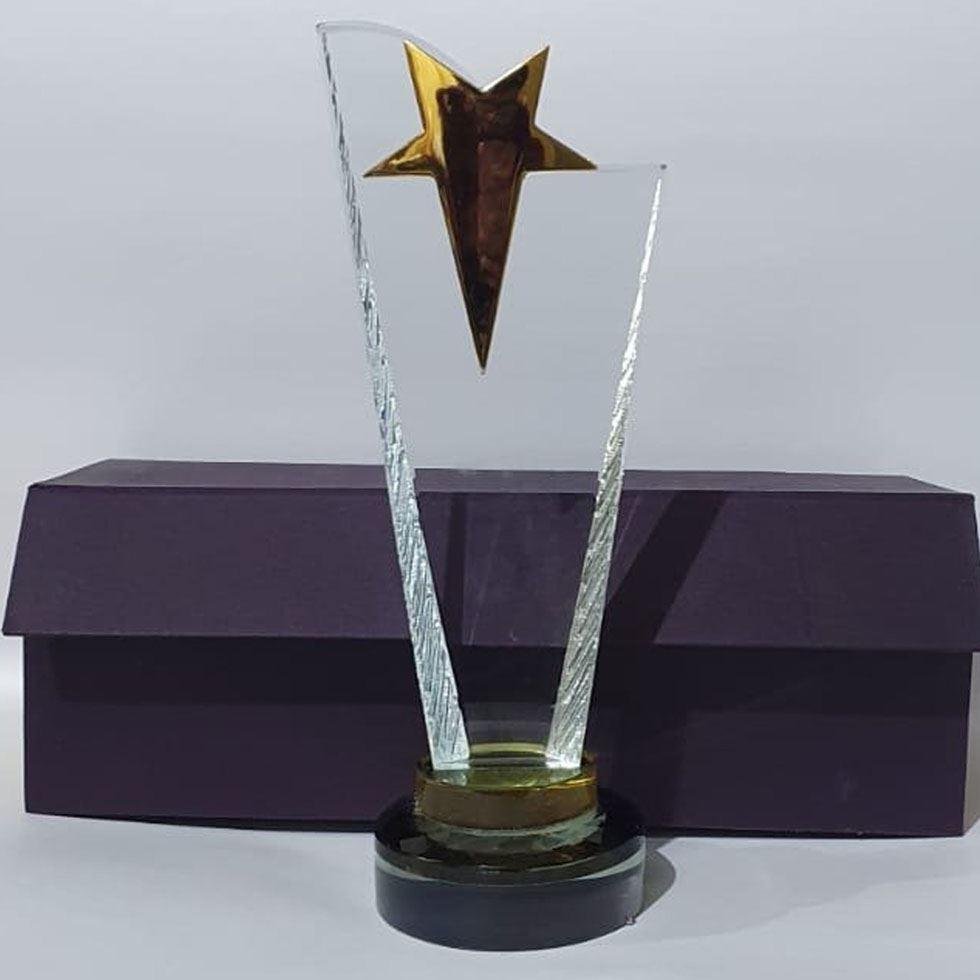 Star Crystal Award Image