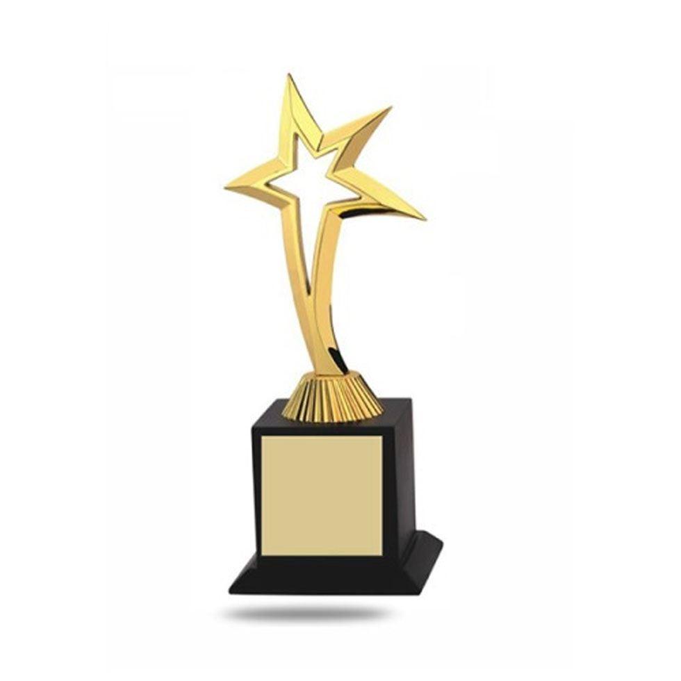 Star Metal Trophy Image