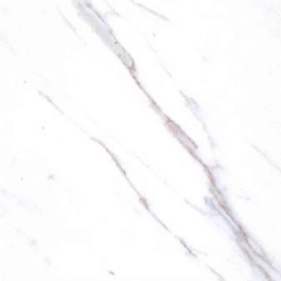 White Italian Statuario Marbles Flooring Contertops Image