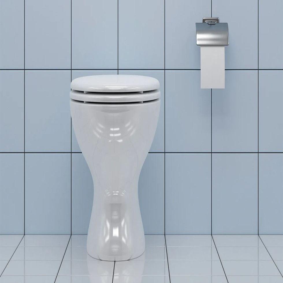 Toilet Automatic Flush Image