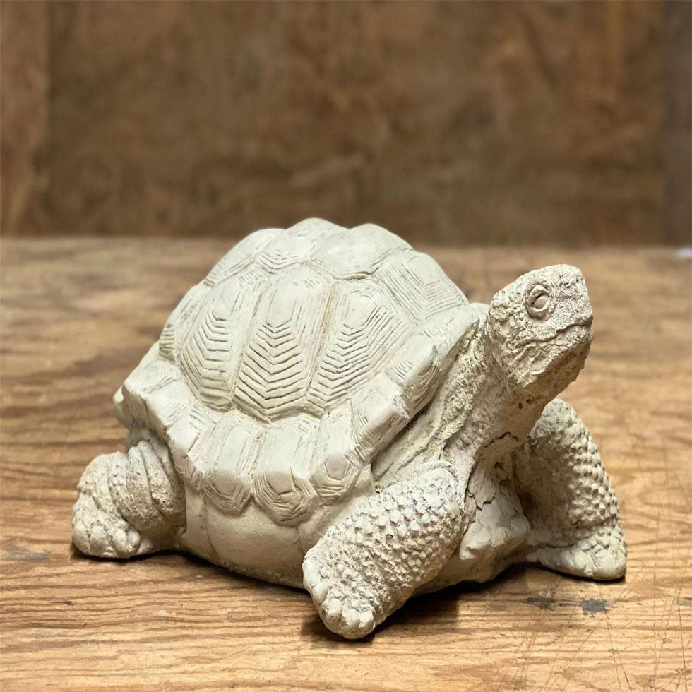 Tortoise Stone Statue Image