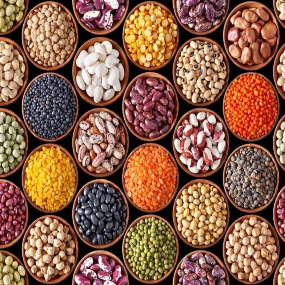 Premium Quality Pulses Different Types Highly Nutritious Image